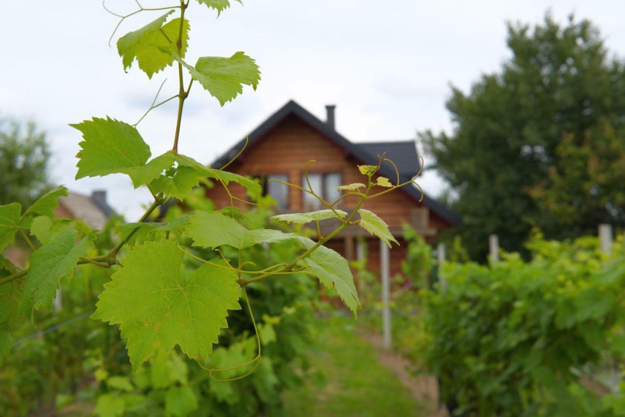 Dom Pachnacy Zywica Villa Bochnia Eksteriør bilde