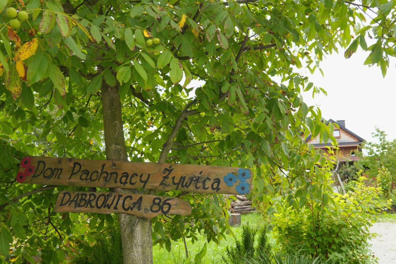 Dom Pachnacy Zywica Villa Bochnia Eksteriør bilde